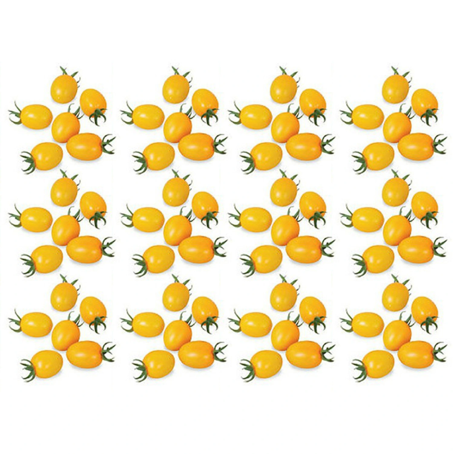 100pcs Delicious Tomato Seeds Productive Vegetable Garden Seeds for Planting Outdoor