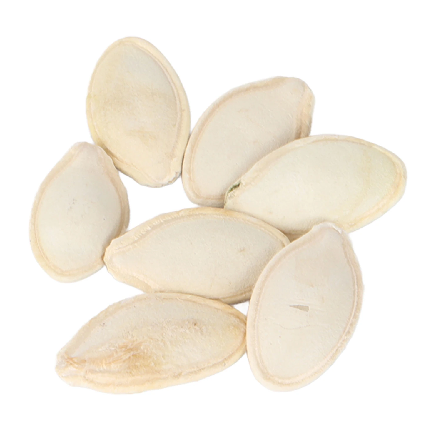 Pumpkin Seeds Edible Round Yellow Pumpkin Seeds for Garden Patio Balcony Planting