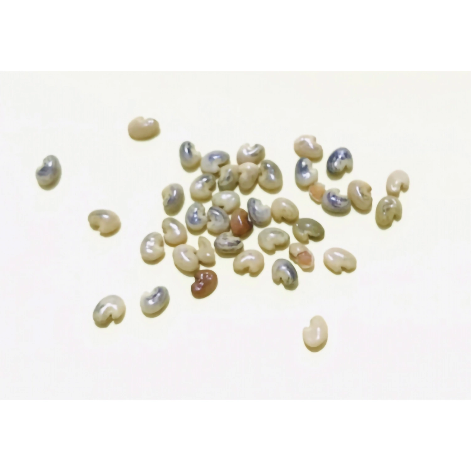 30 Seeds Caleana Major Seed Balcony Planting Lawn Garden Seed for Outdoor Courtyard