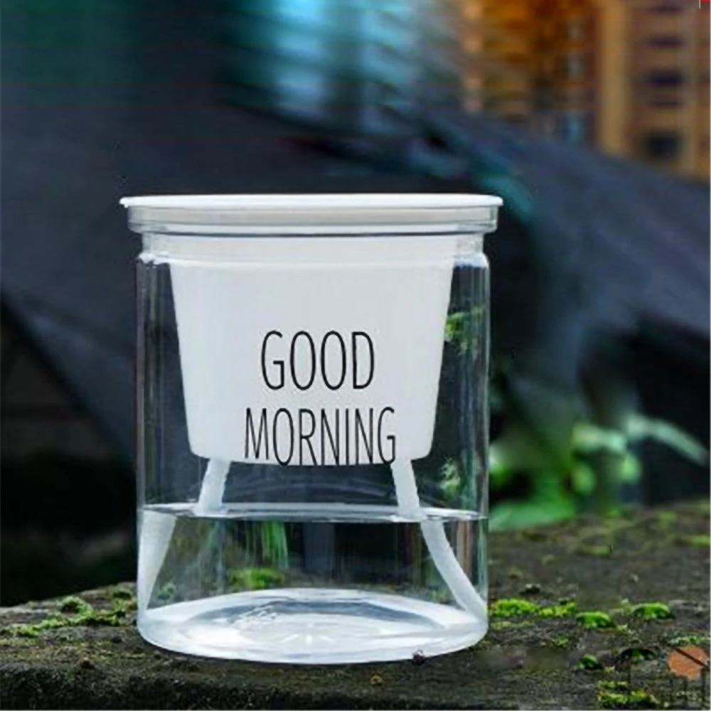 Flower Pot Indoor Self Absorbed Watering Planter Pot Transparent Flower Container for Office Home Flat Bottom