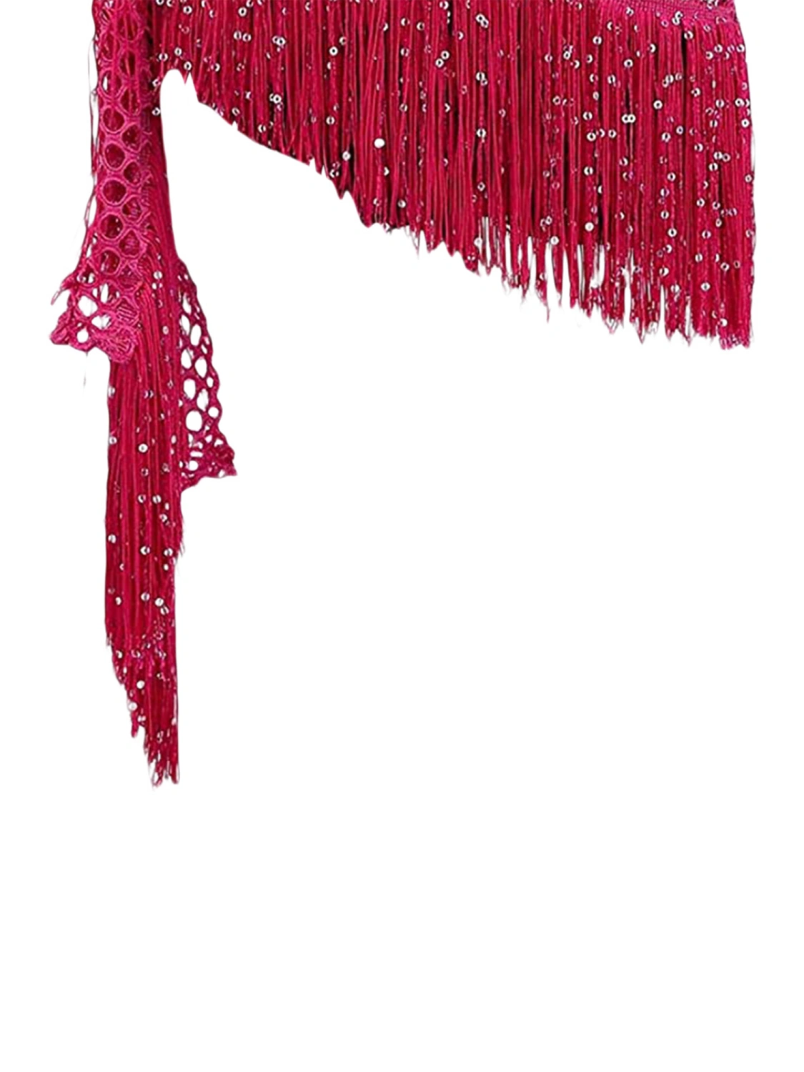Women Belly Dance Hip Skirt, Sequins Tassel Party Stage Costume 