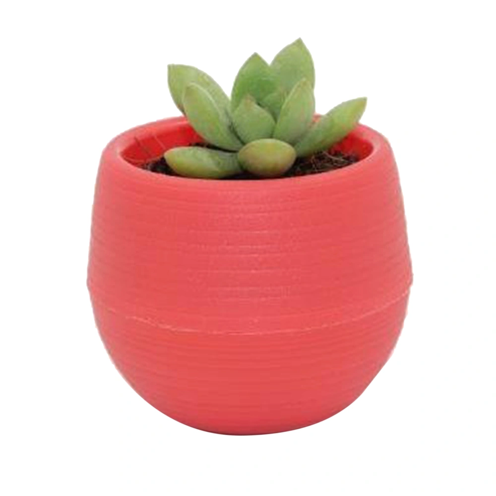 Succulent Pot Mini Seedling Flower Container Plastic Flower Pot for Garden Courtyard BalconyWine Red