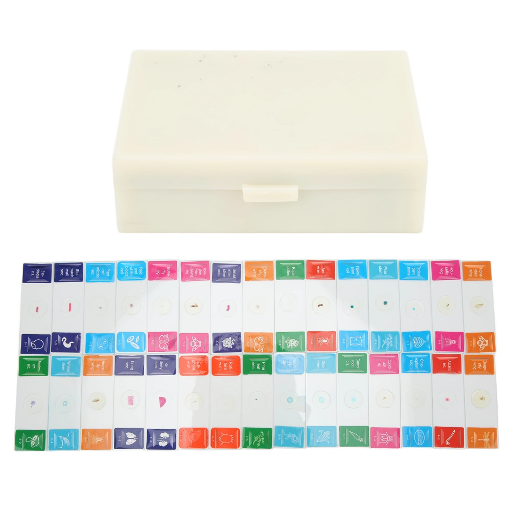 30Pcs Microscope Slides with Box Transparent Biology Prepared Slide Set for Laboratory