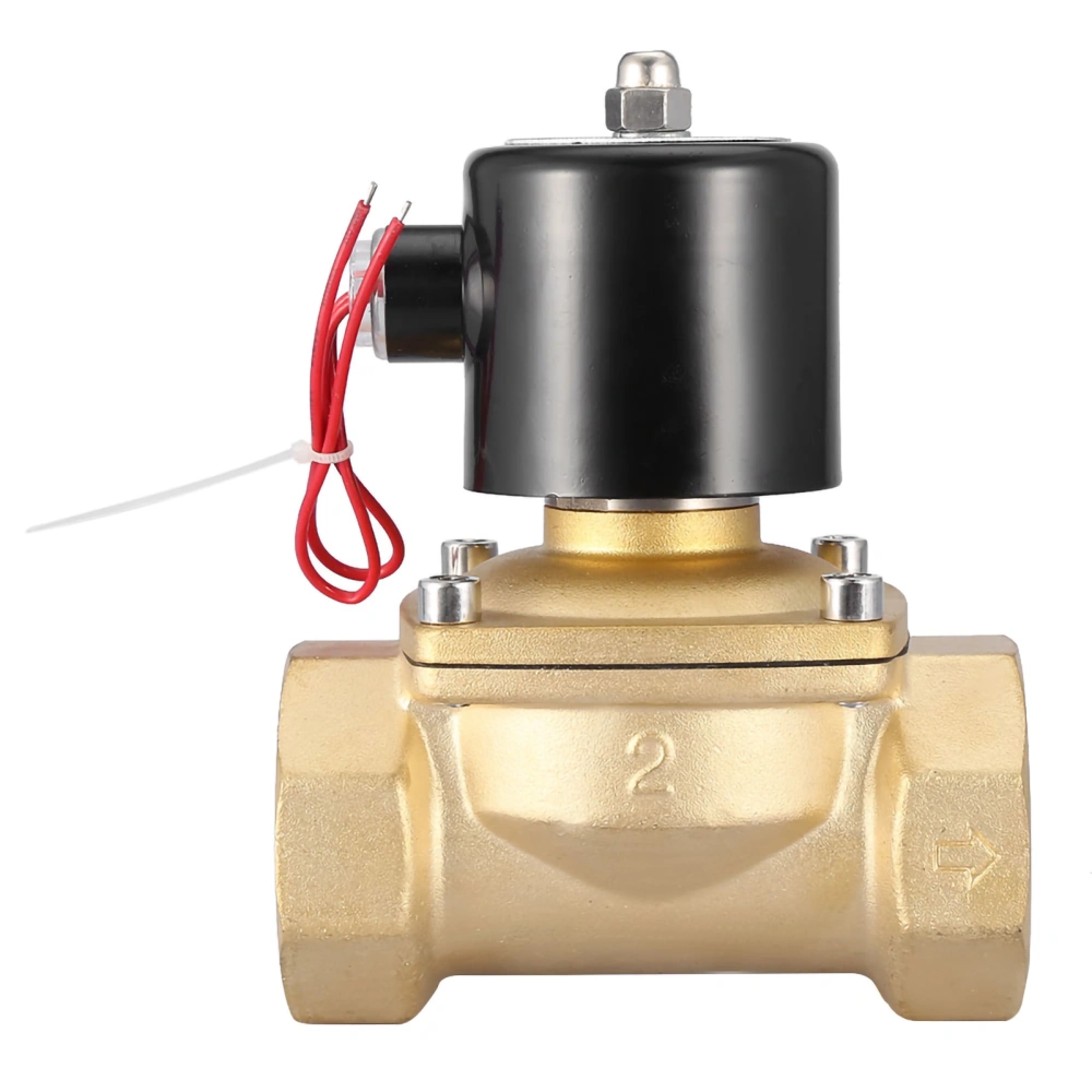 DN50 2" Two Way Brass Electric Solenoid Valve Normally Closed 220VAC