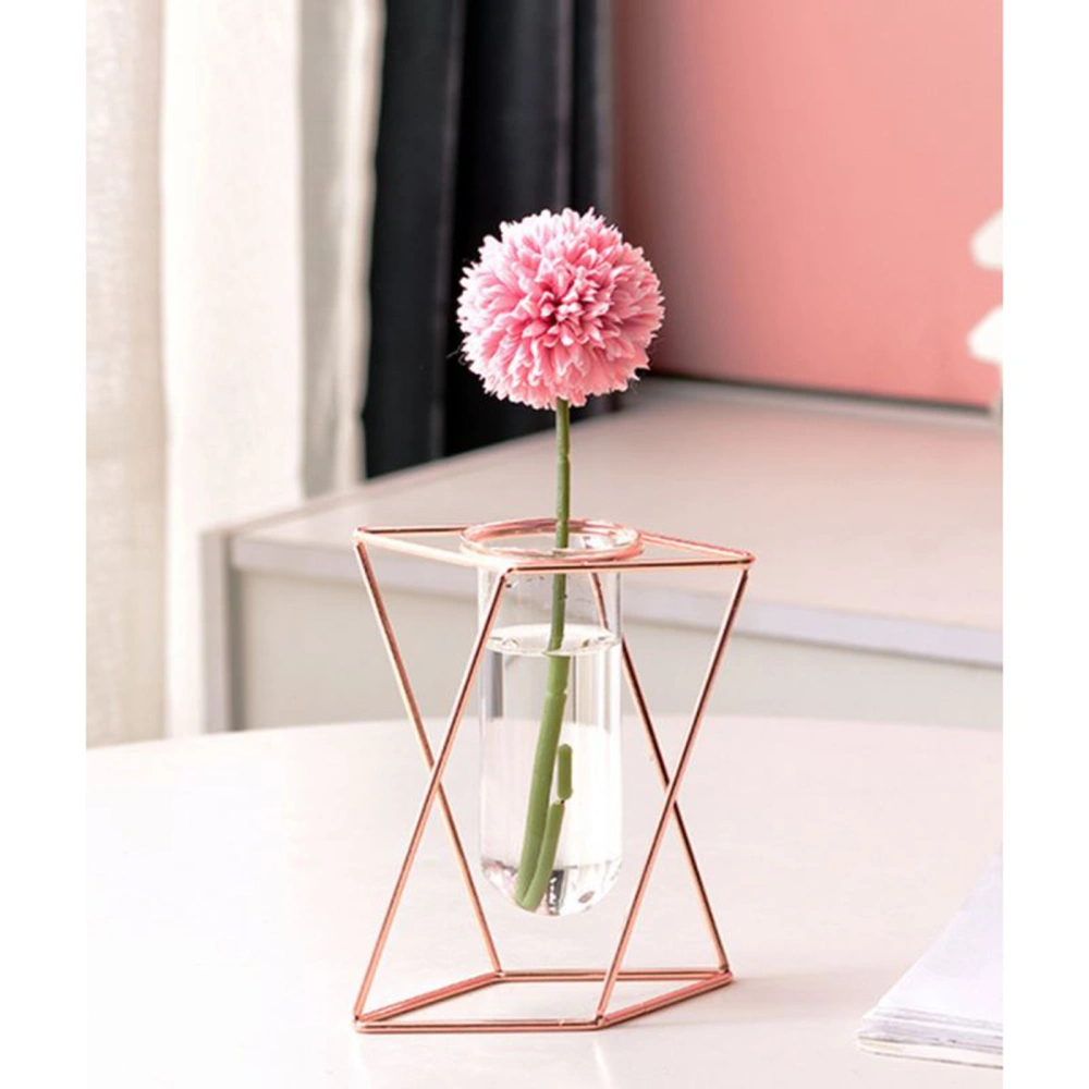 Geometric Vase Iron Frame, High Borosilicate Glass Container