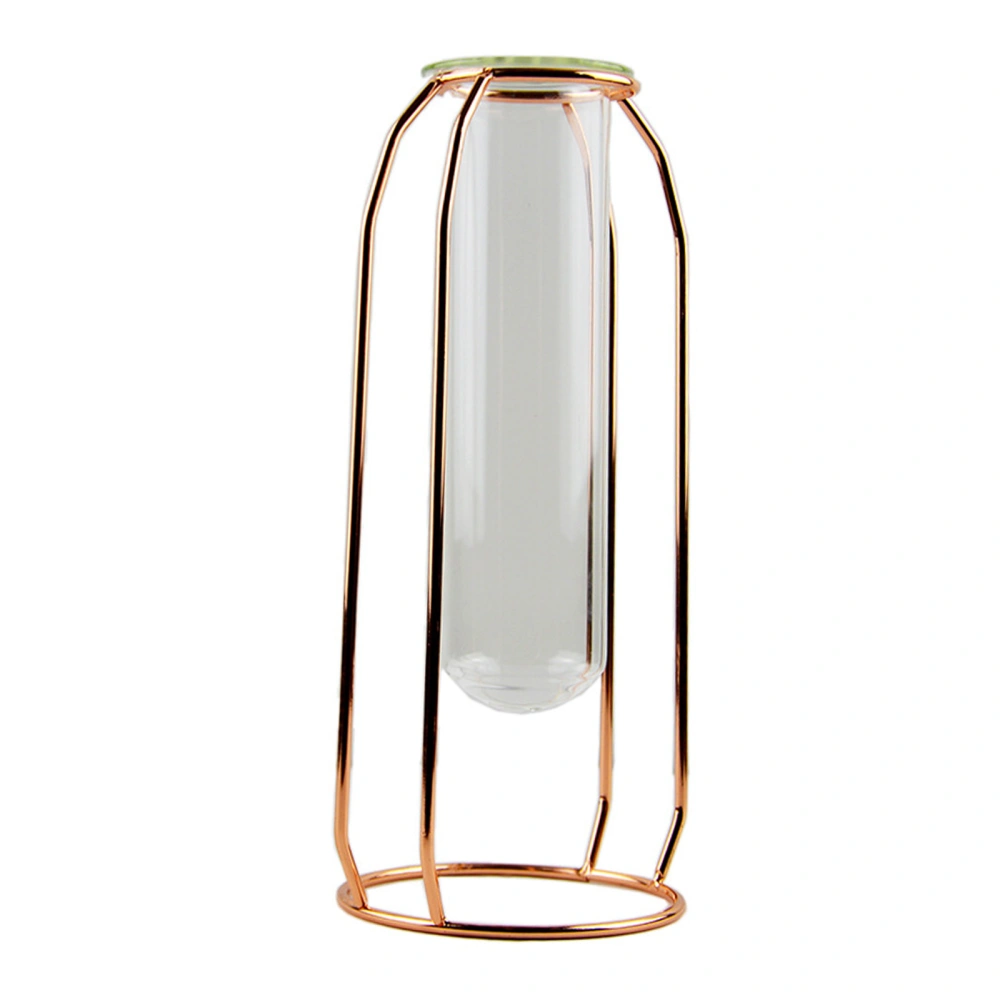 Geometric Test Tube Vase with Metal Frame, Transparent Glass