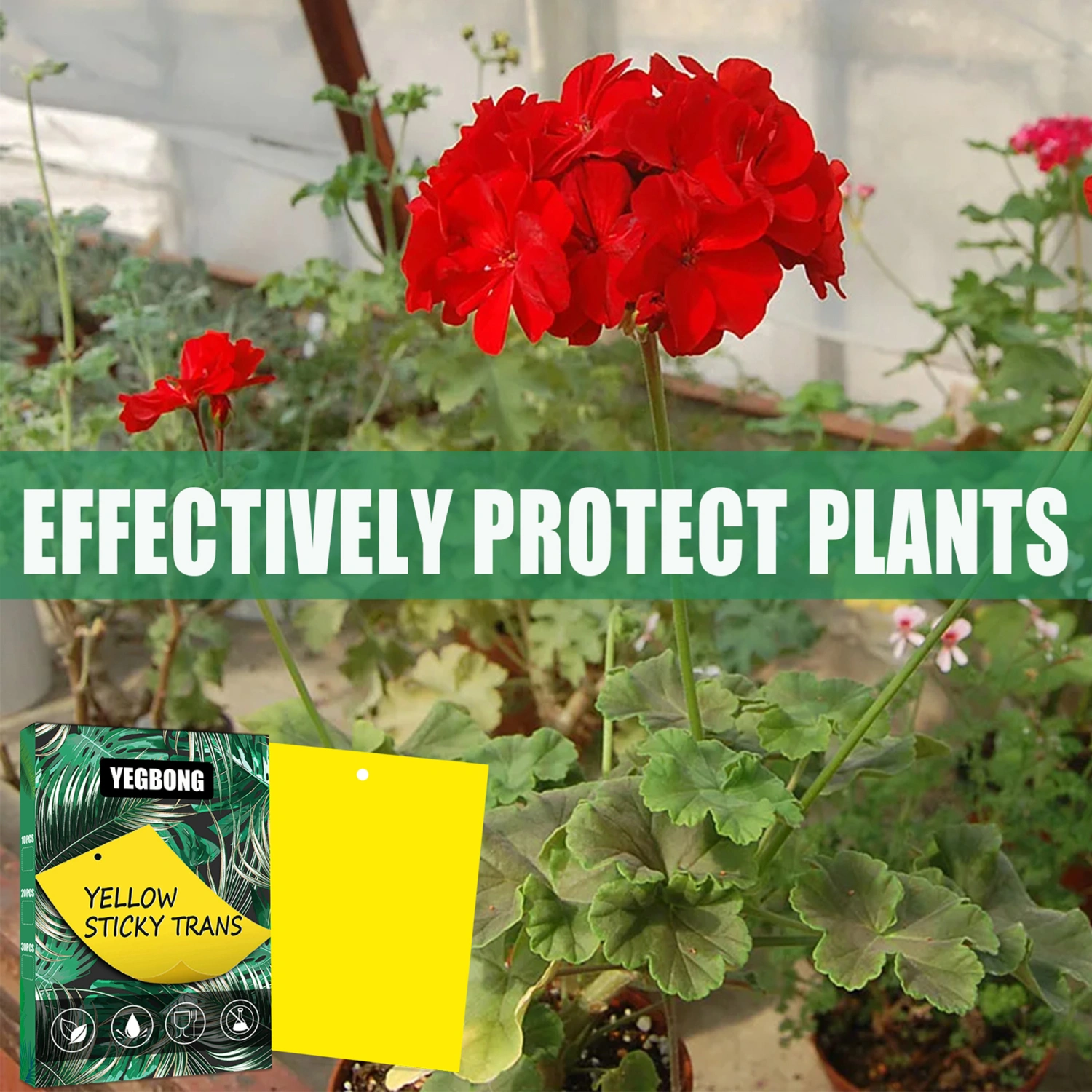 10/20/30 Counts Fly Sticky Traps Dual-Sided Yellow Insect Sticky Traps