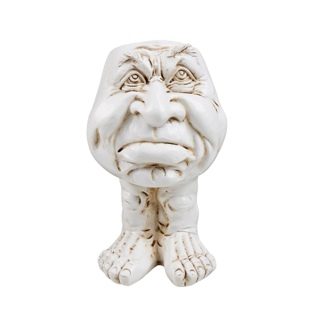 Funny Face Head Planter Pots for Indoor Outdoor Plants Flower Pots