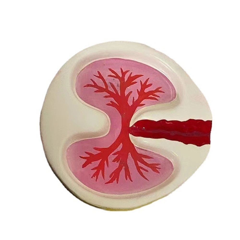 Decorative Ashtray Portable Creative Lungs Resin Ashtray Desk Statue 