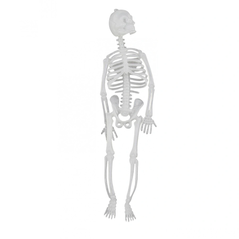 Halloween Glowing Skeleton, Limbs Can Move Freely Decoration