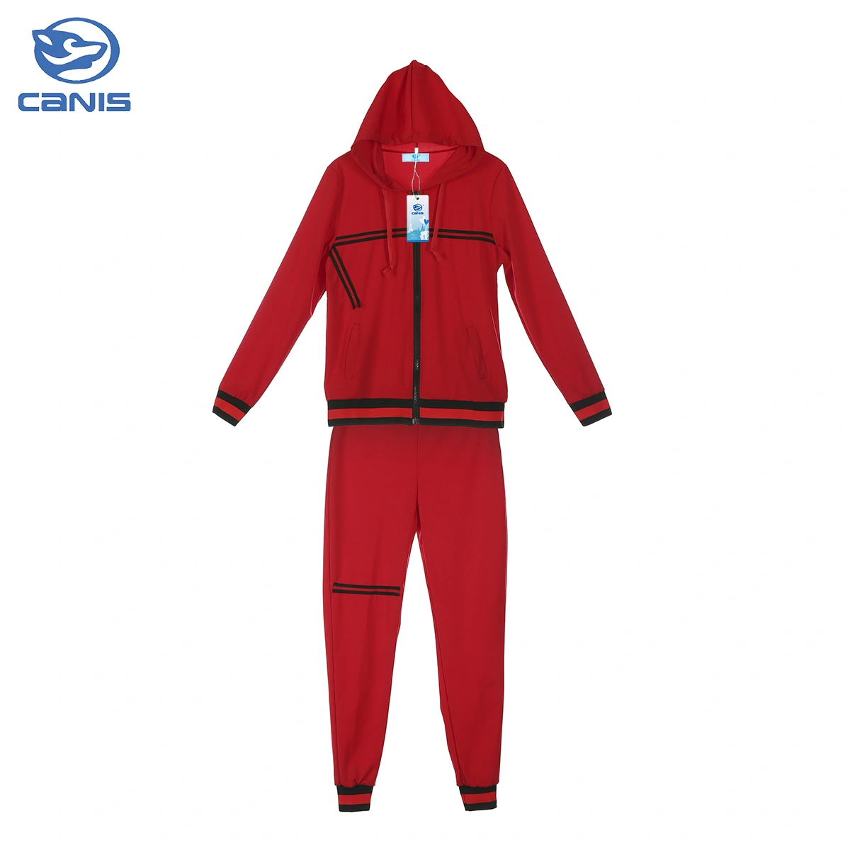 2 Pcs Female Casual Outfits, Zipper Sport Hoodies Long Pants Suits