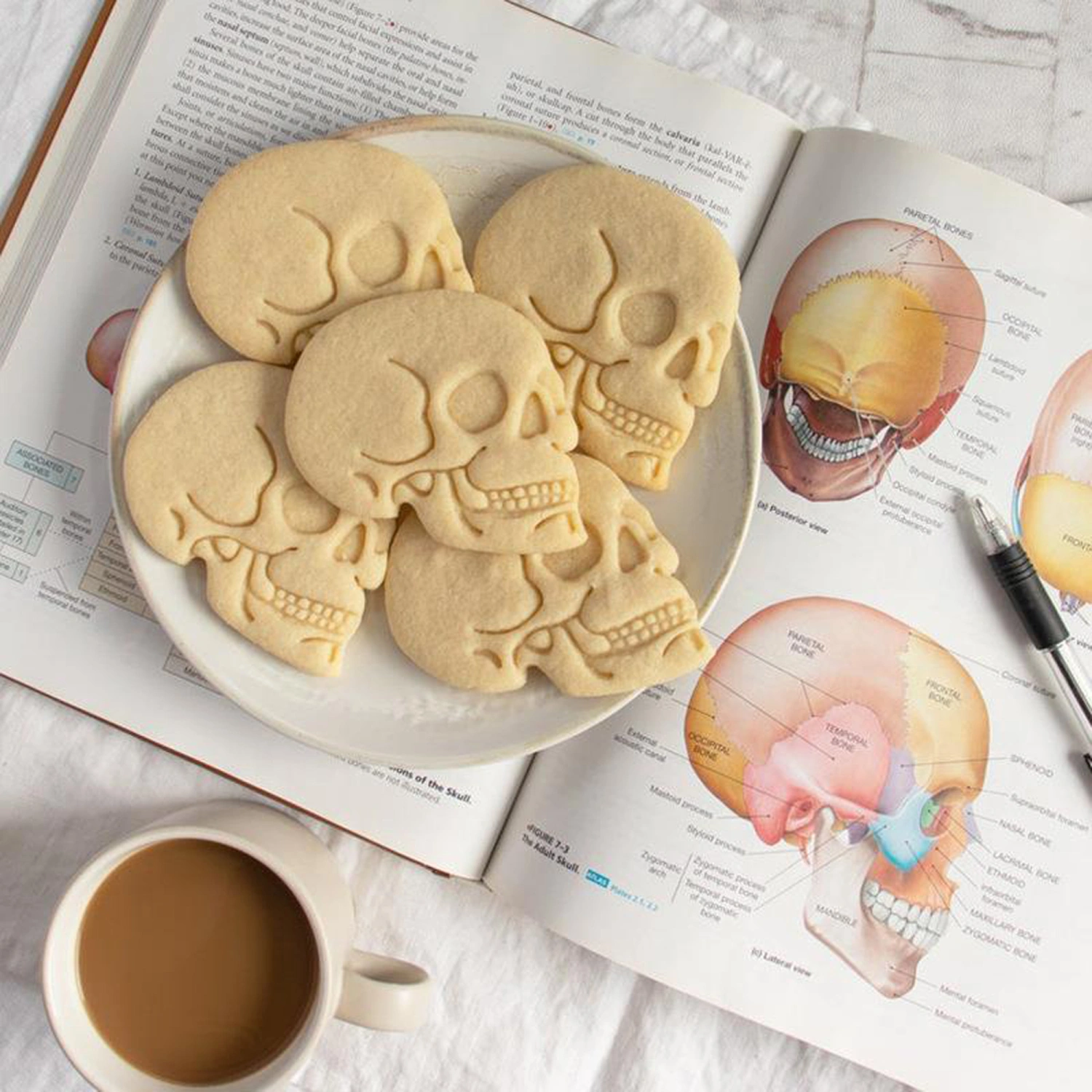 Halloween Cookie Cutters Skull Shape Biscuit Mold Sandwich Cutter