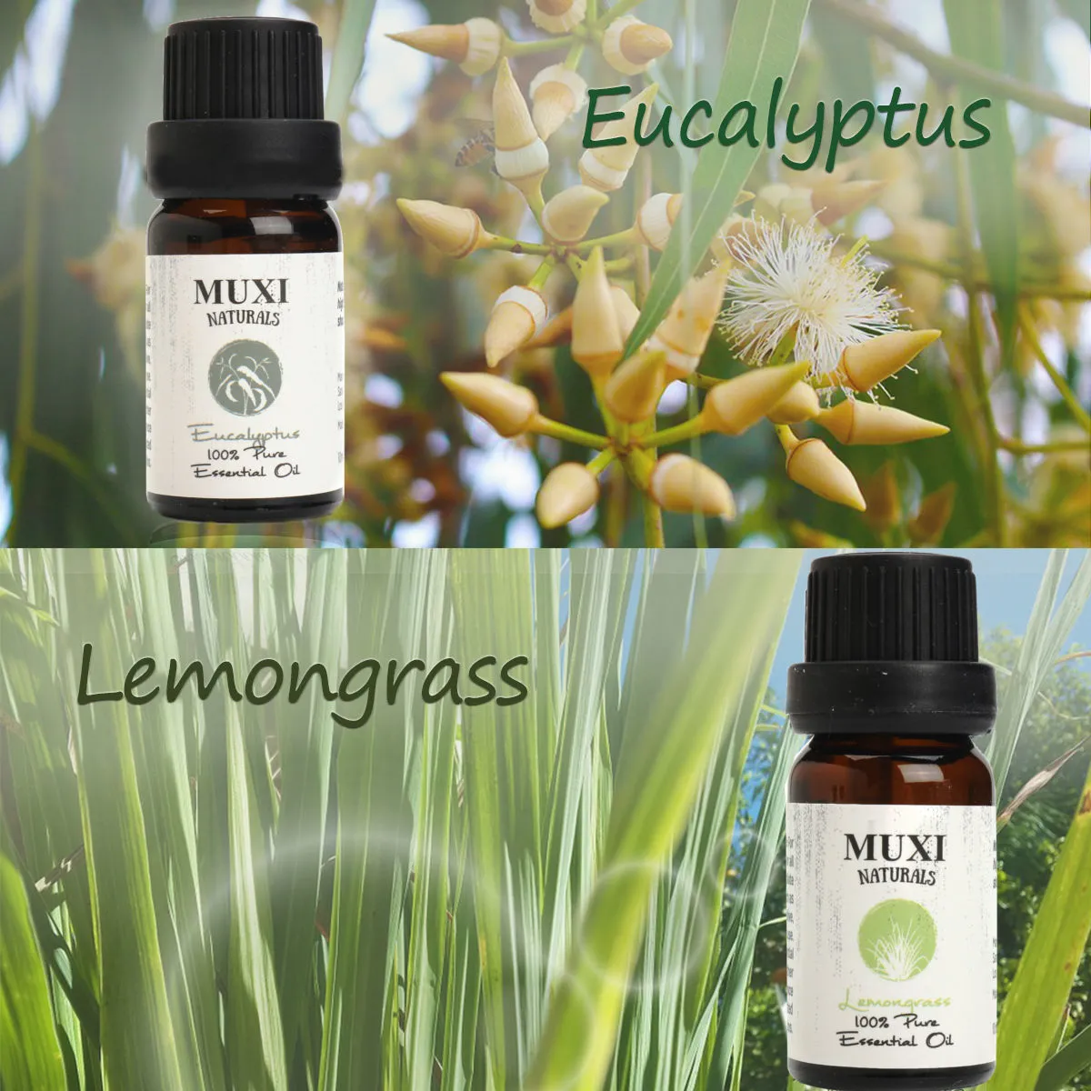 6 Pieces Essential Oil Elegant Lady Lavender Pure Aromatherapy Oil