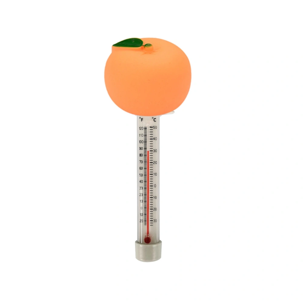 Floating Pool Thermometer Cartoon Animals Fruit Pond Water Thermometer