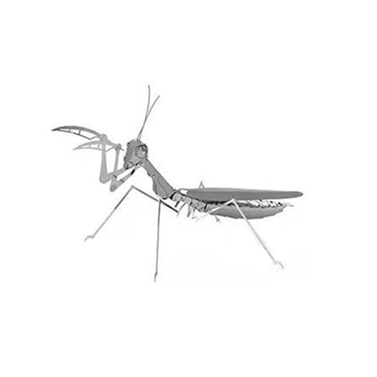 3D Metal Puzzles Insect Metal Model Building Kits Assembly DIY Crafts 