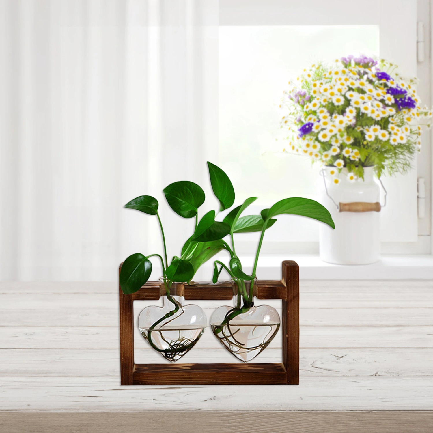 Hydroponic Glass Vase Retro Desktop Terrarium Planter with Wood Stand