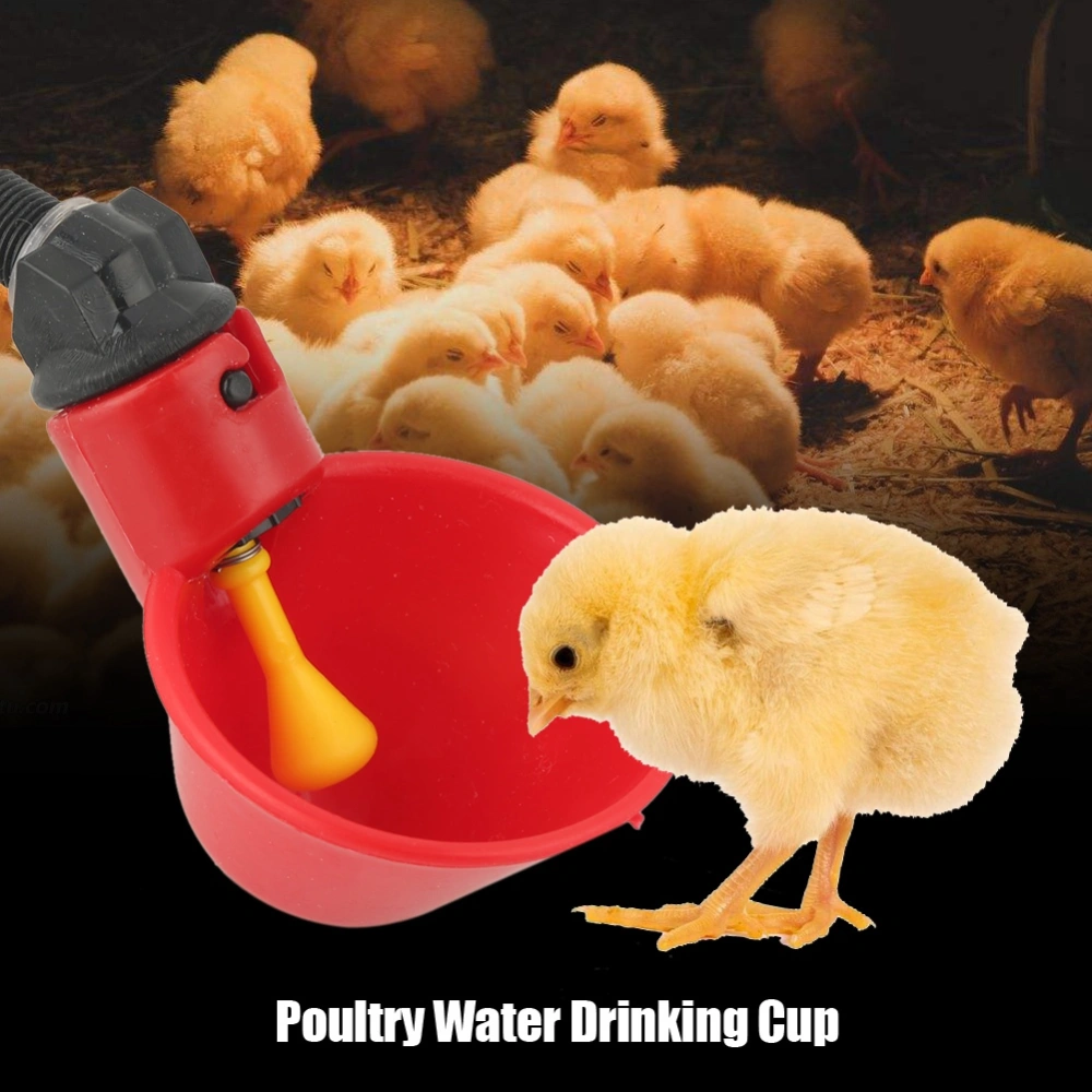 10PCS Poultry Water Drinking Cups Drinker Feeder for Livestock Chicken Hen