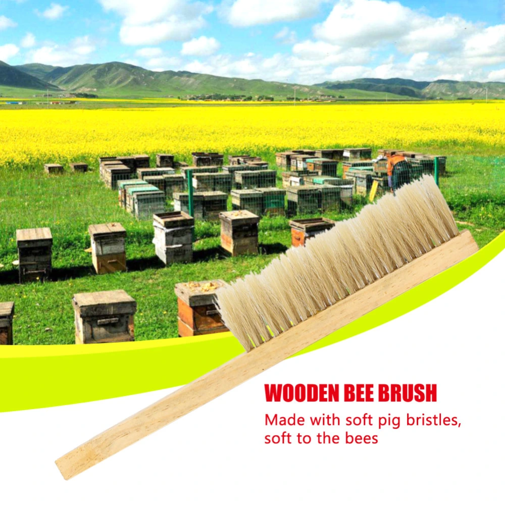 Soft Pig Bristles Beehive Bee Brush Beekeeping Cleaning Tool with Wooden Handle