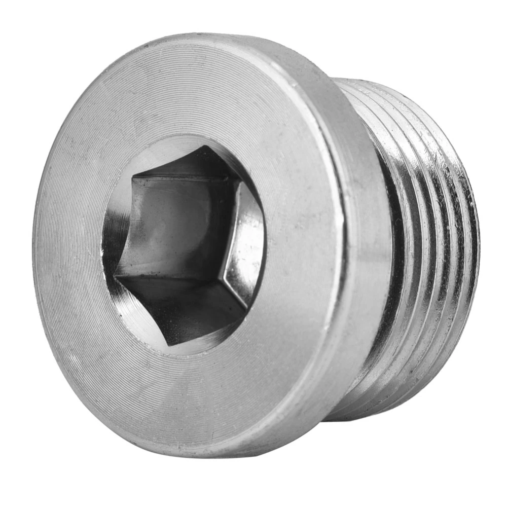 Carbon Steel Multi Sizes Hex Bolt Plug Head for Petrochemical Medical Equipment(M24*1.5)