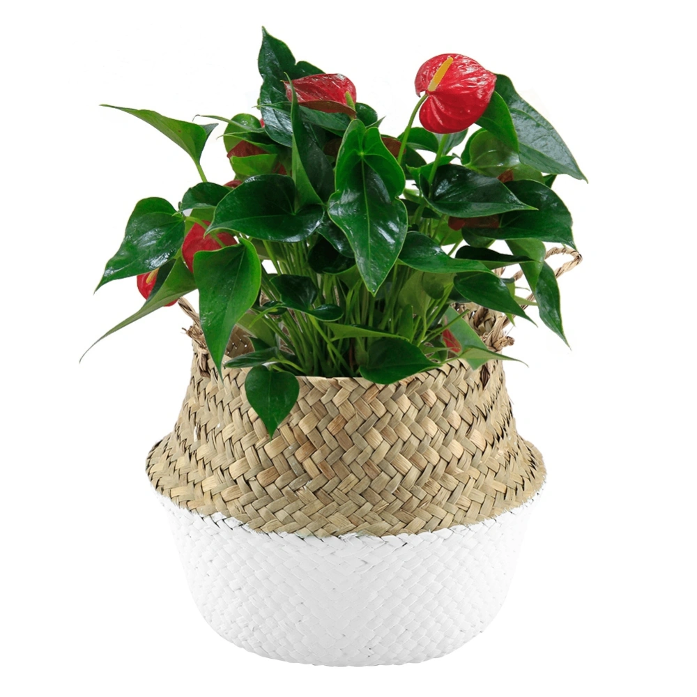 Foldable Natural Seagrass Woven Clothes Organizer Flower Plant Pot Basket(White)