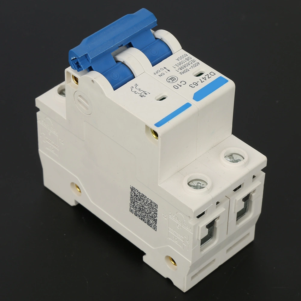 DZ47-63 2 P Mini Circuit Breaker Cutout Switch Breaker 400VAC（10A）