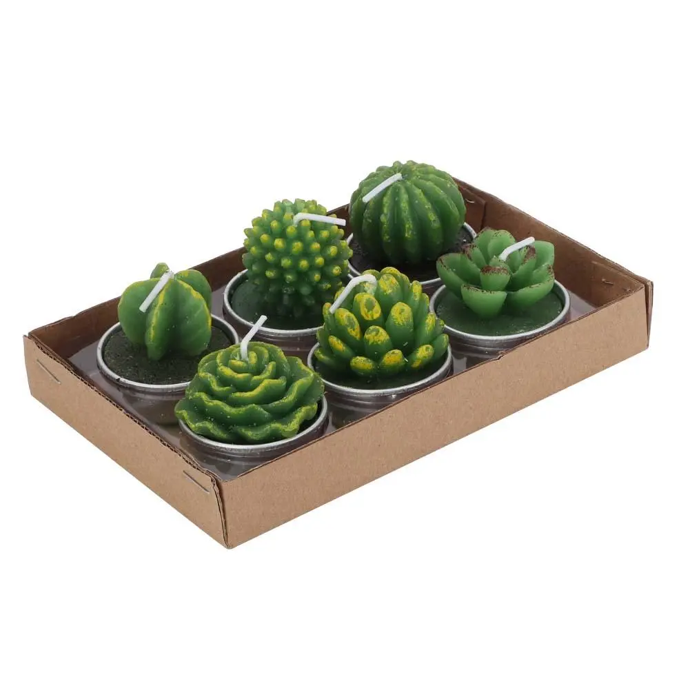 6Pcs Succulent Candles Decorative Tea Light Candles for Home Party Wedding Decoration(Type One)