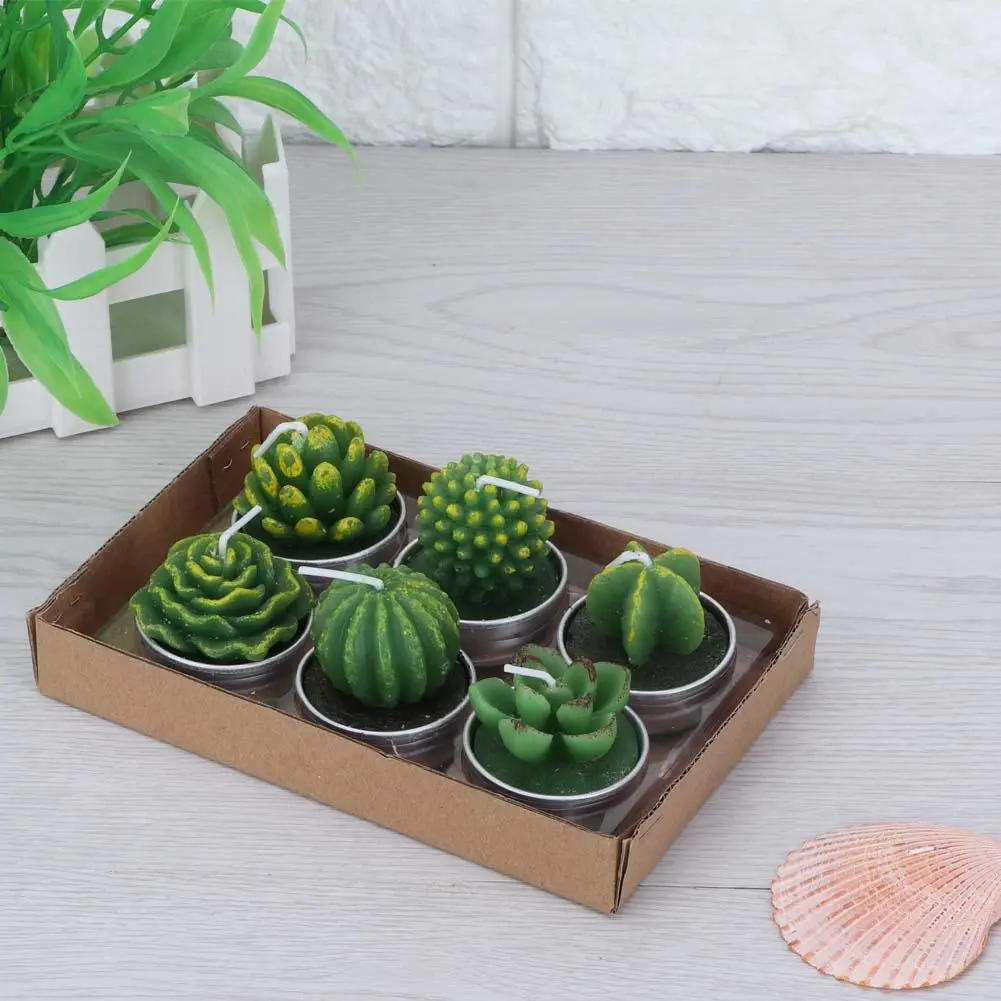 6Pcs Succulent Candles Decorative Tea Light Candles for Home Party Wedding Decoration(Type One)