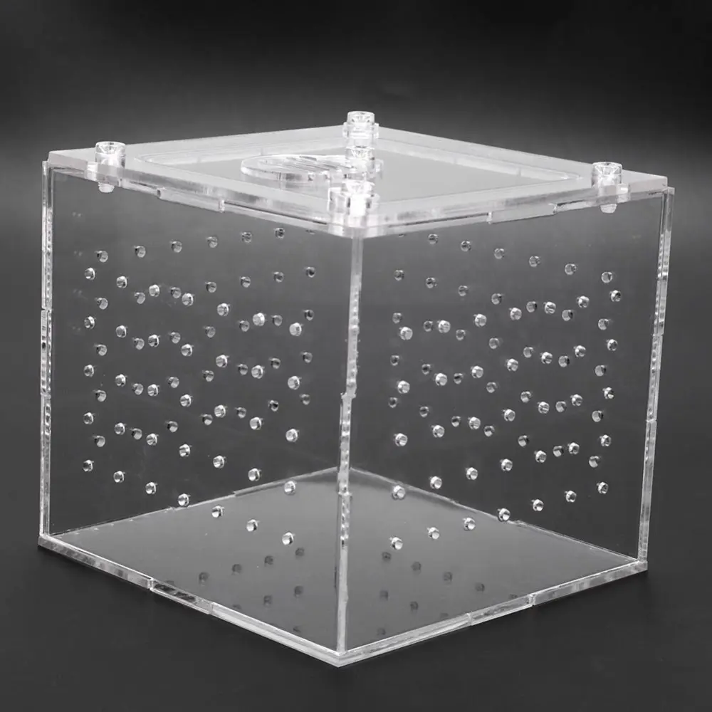 1Pc Reptile Terrarium Feeder Snakes Spider Lizard Breeding Acrylic Box Case Insects House