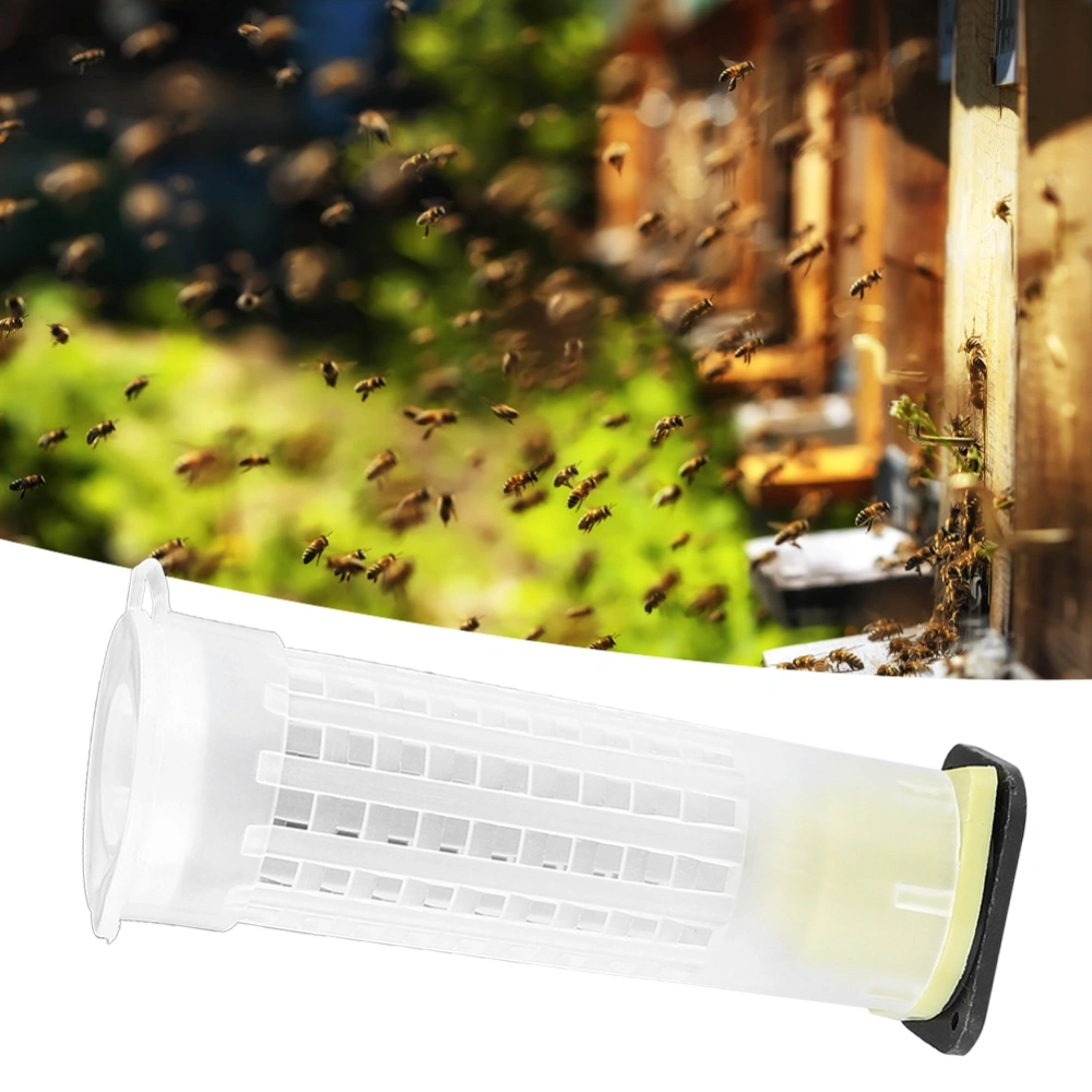 15PCS Plastic Bee Queen Rearing Cages Anti-bite Protector Beekeeping Equipment Insect Tool