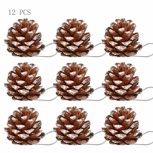 12 Pieces New Pine Cone grown on Ponderosa Pacific pines Decorate the Christmas Tree