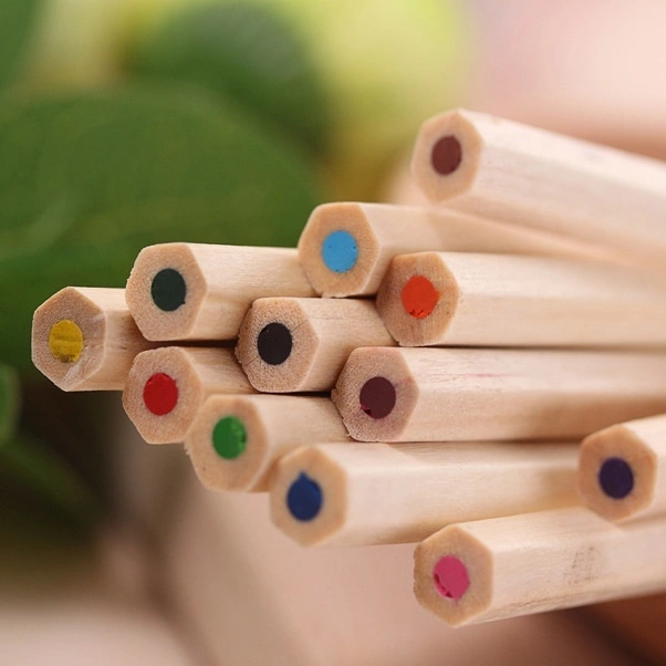 12 Colors Artist Professional Drawing Painting Sketching Writing Pencils (Long Size)