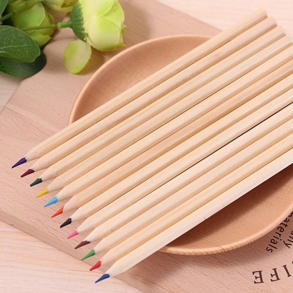 12 Colors Artist Professional Drawing Painting Sketching Writing Pencils (Long Size)
