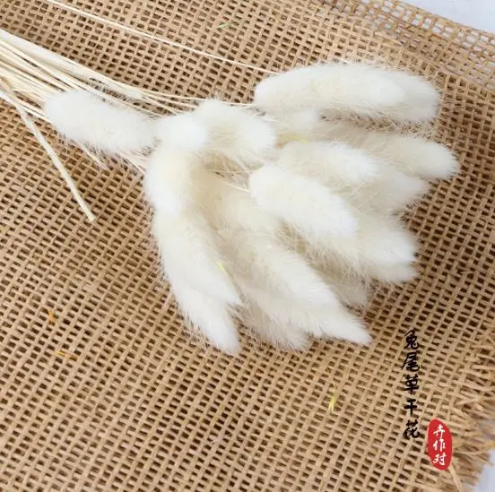 30Pcs / Lot Rabbit Grass Home Decoration Flower Arrangement Natural Dried Flower (White)