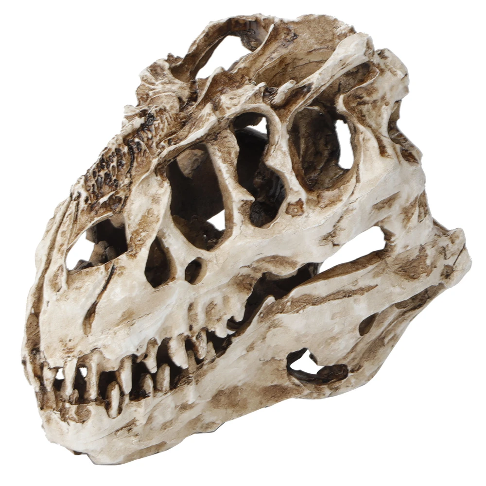 Resin Dinosaur Skull Personality Animal Skeleton Ornaments Props Halloween Collection Craft Decor