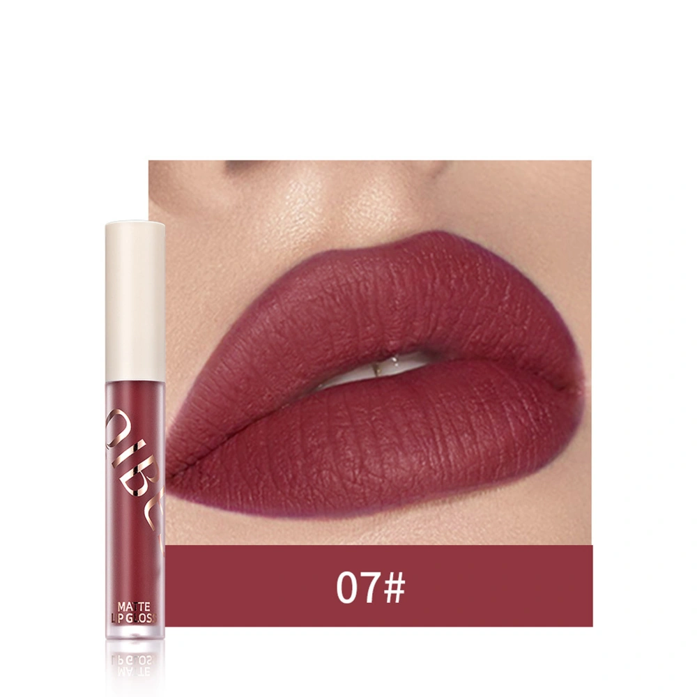 Matte Lip Gloss Long Lasting Lip Glaze Natural Lip Tint Women Beauty Makeup Tools (QL15-07#)