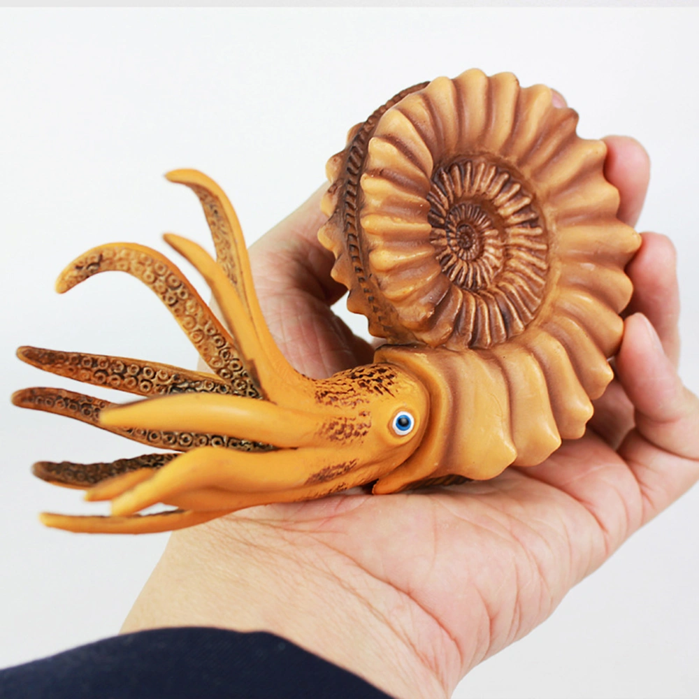 1pc Solid Simulation Nautilus Model Animal Model Marine Life Figure Toy for Kids Toddlers