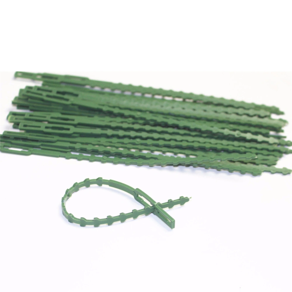 30PCS Fish Bone Spur Self-locking Nylon Cable Ties Wire Cable Tie Zip (Green)