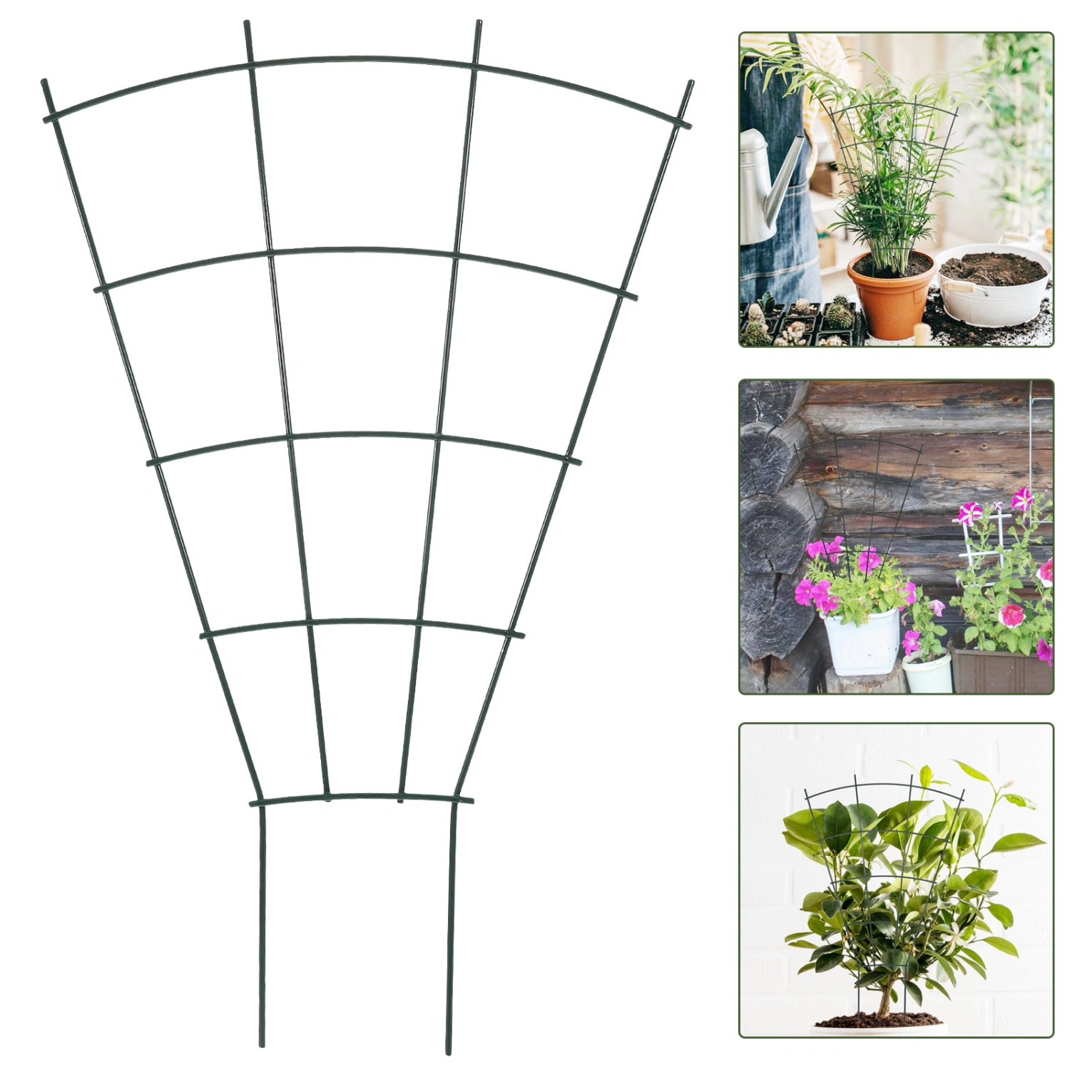 Garden Trellis Indoor Plant Trellis Flower Trellis Plant Support Plant Climbing Stand
