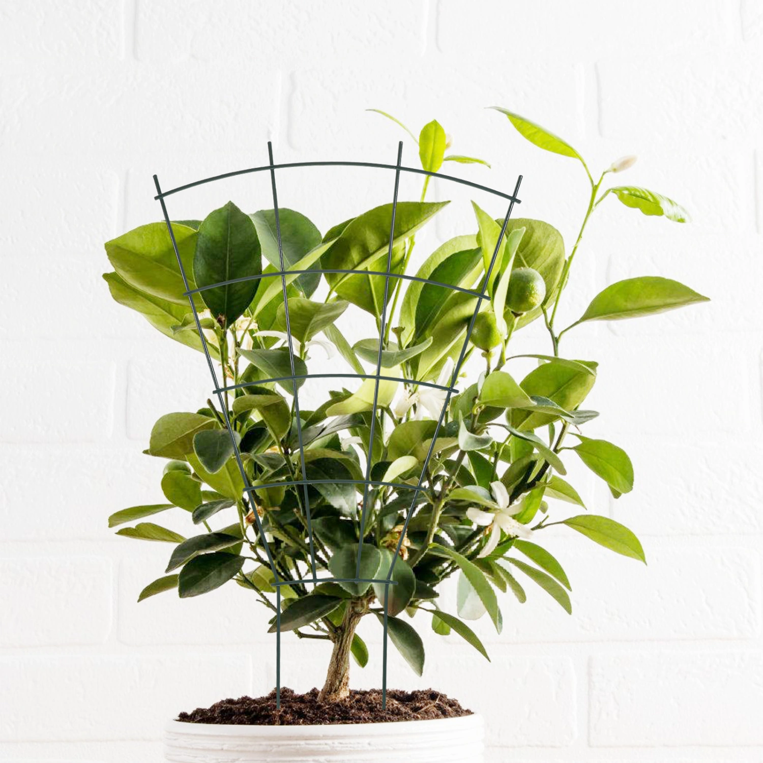 Garden Trellis Indoor Plant Trellis Flower Trellis Plant Support Plant Climbing Stand