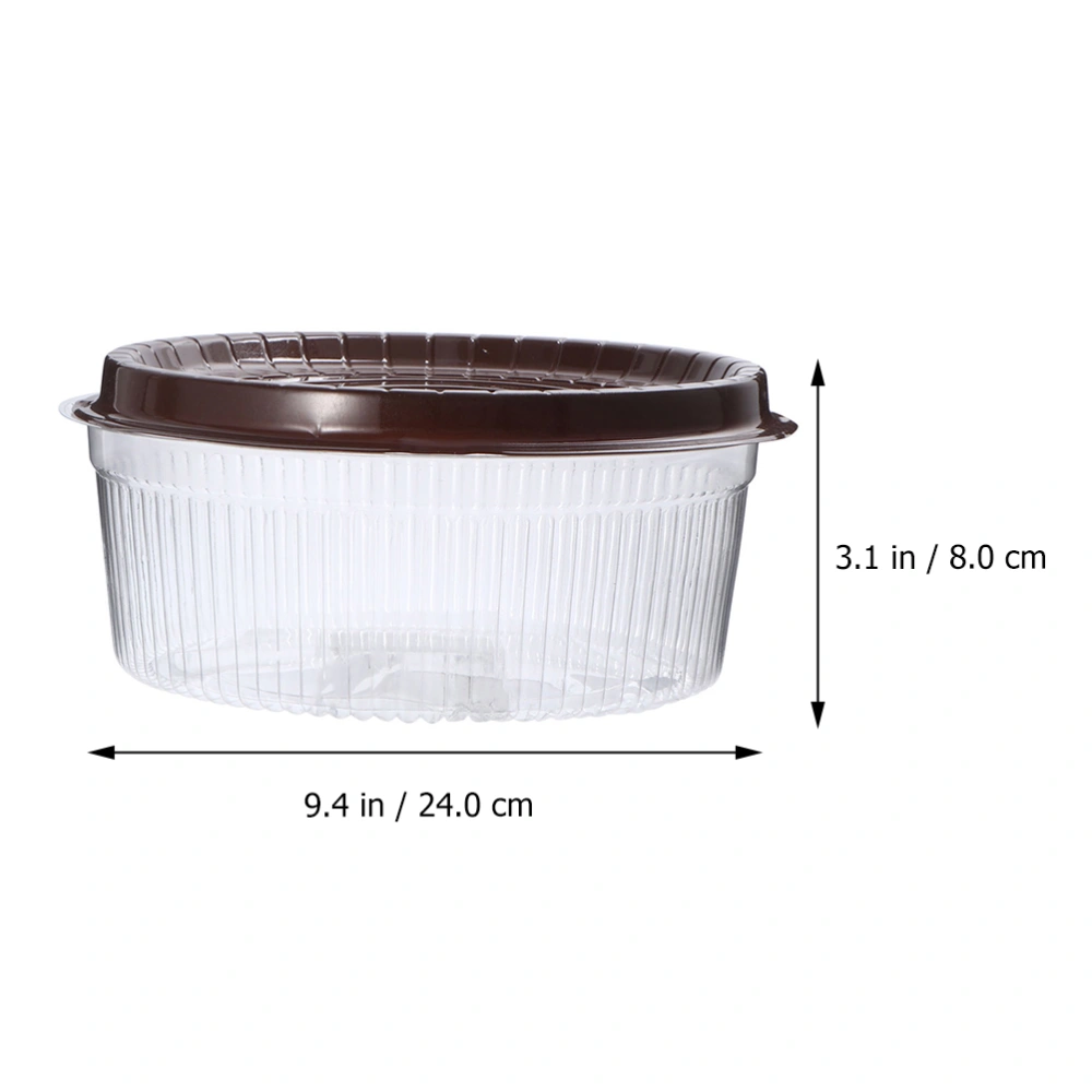 25 Pcs Transparent Cake Pastries Box 8-inch Muffin Holders Plastic Cupcake Boxes