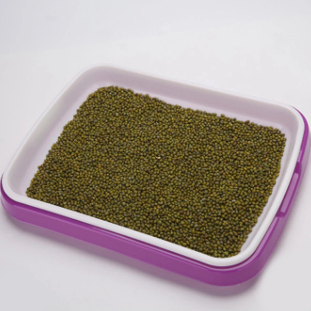 Sprouter Tray Soil-Free Food Grade PP Healthy Wheatgrass Grower-35x26x5cm(Purple)