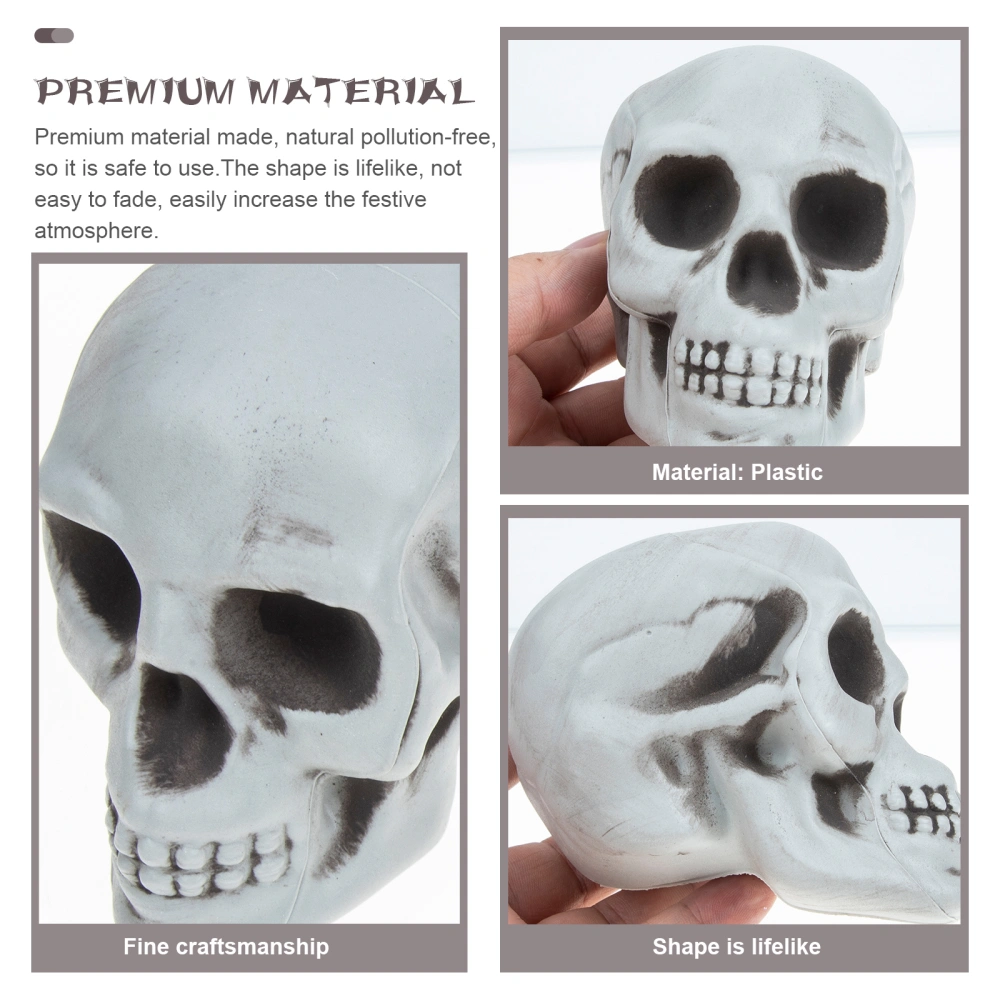 8Pcs Human Skeleton Head Ornament DIY Spooky Skull Head Model Party Prop