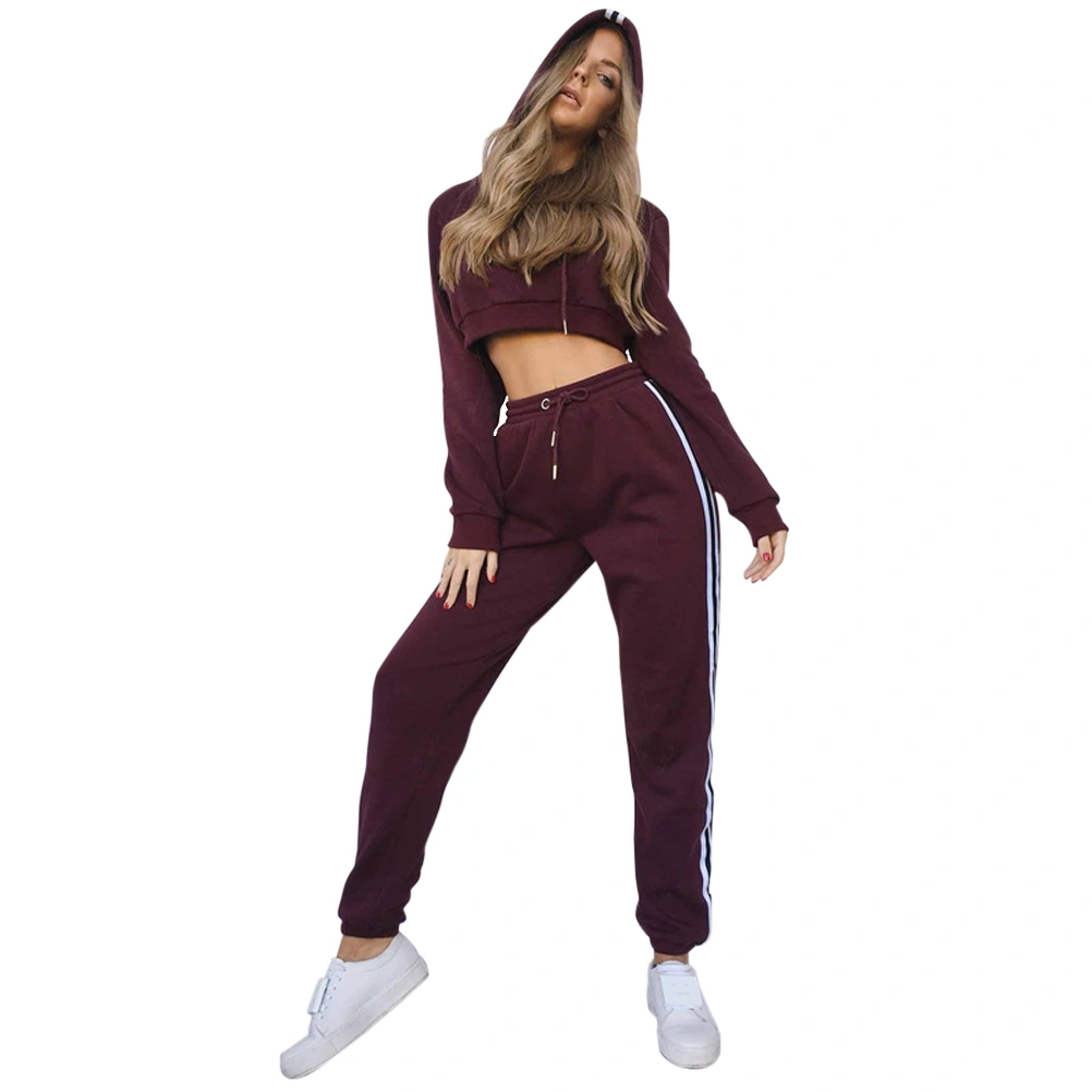 Women Short Tops Tracksuit Hoodies and Pants Sets Casual Suit Size S(Wine Red)