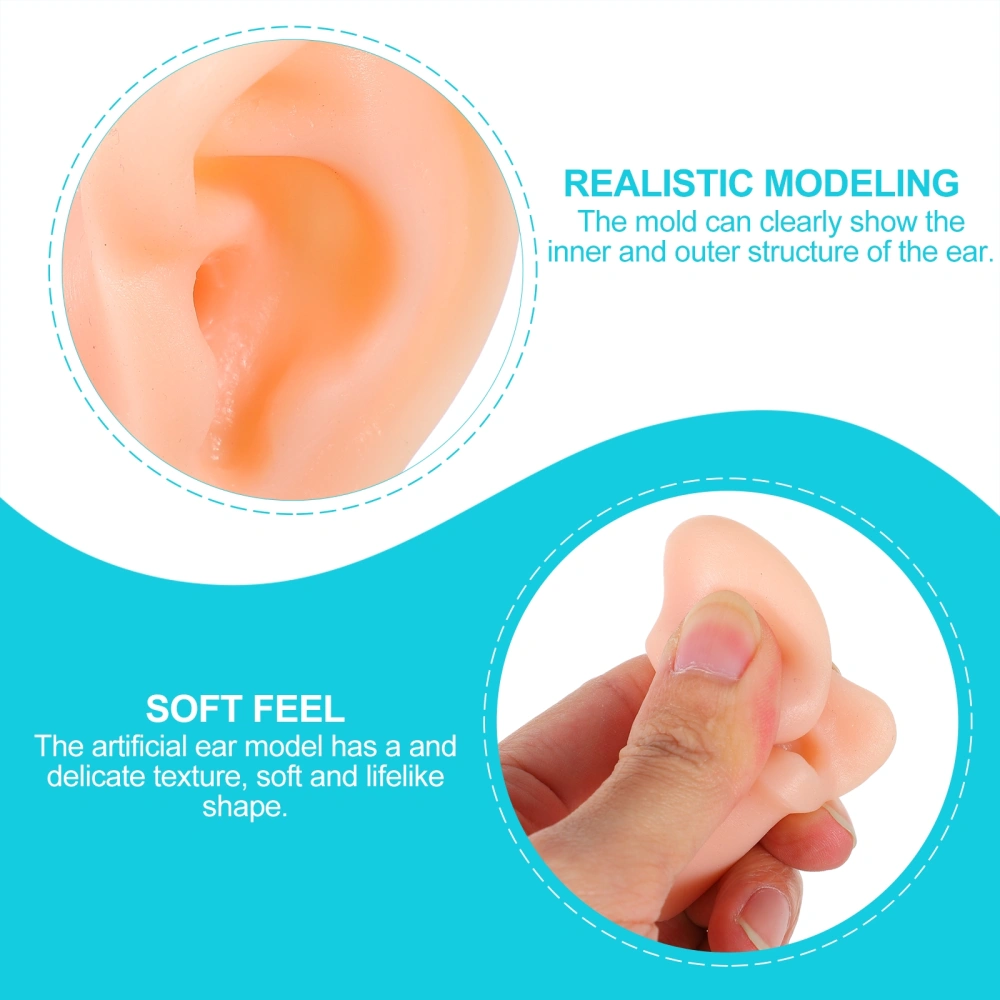 Silicone Fake Ear Display Artificial Ear Model Simulation Ear Model for Studs Wearing (Random Style)