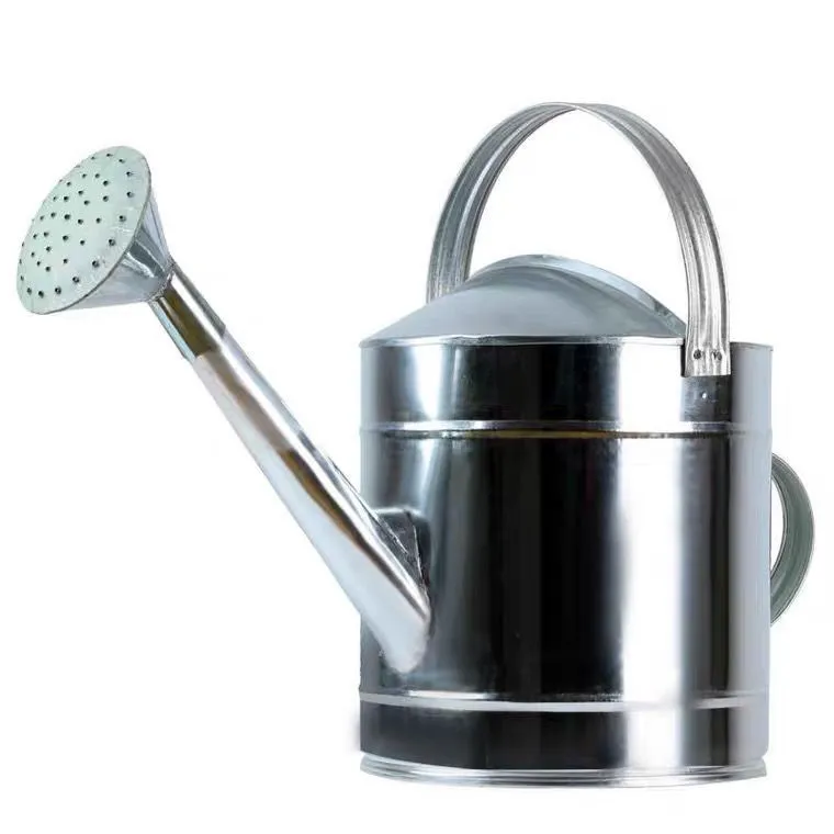 Watering Can Large Capacity Spray Spout Water Sprinkler Handle Iron Kettle