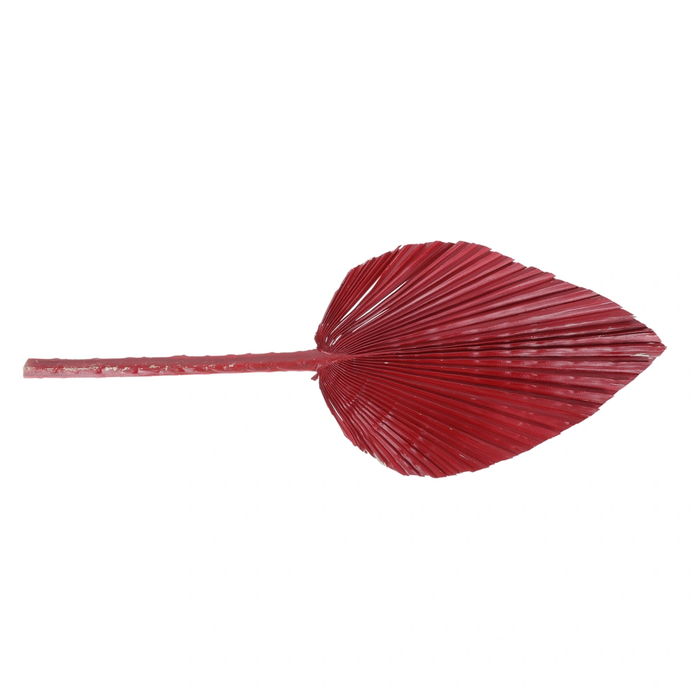 1Pc Lacquered Fan Colored Dried Palm Leaf Flower Art Floral Wedding Decor