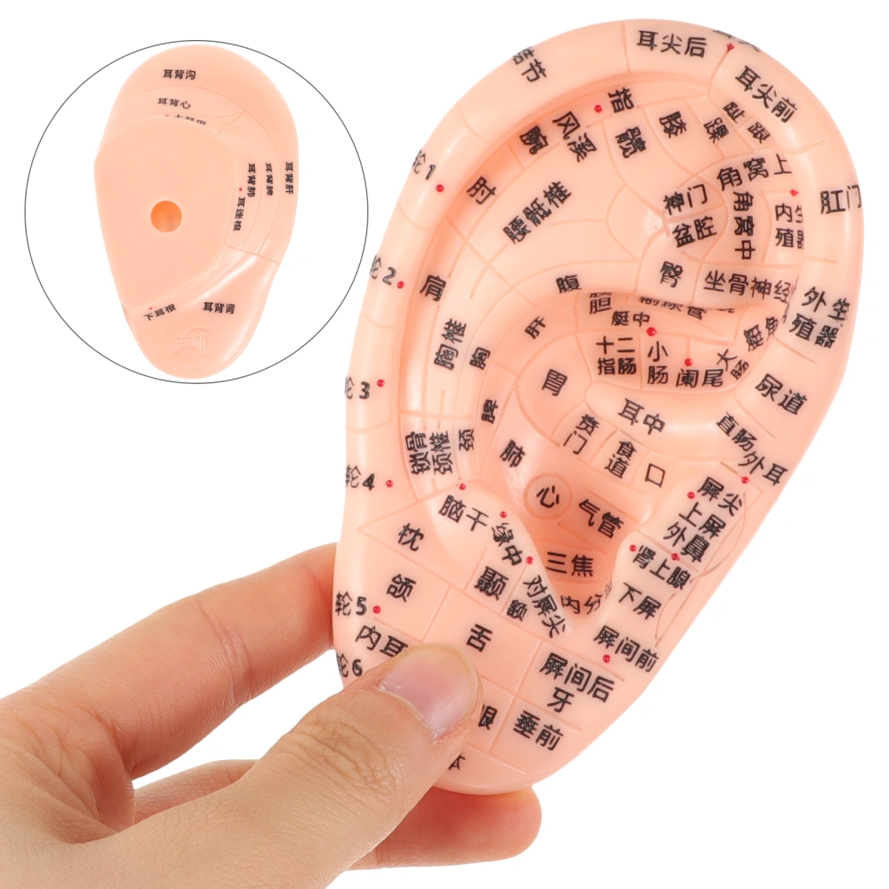 1 Set of Ear Acupoint Stickers Professional Ear Stickers Ear Acupressure Kit Ear Massaging Patches