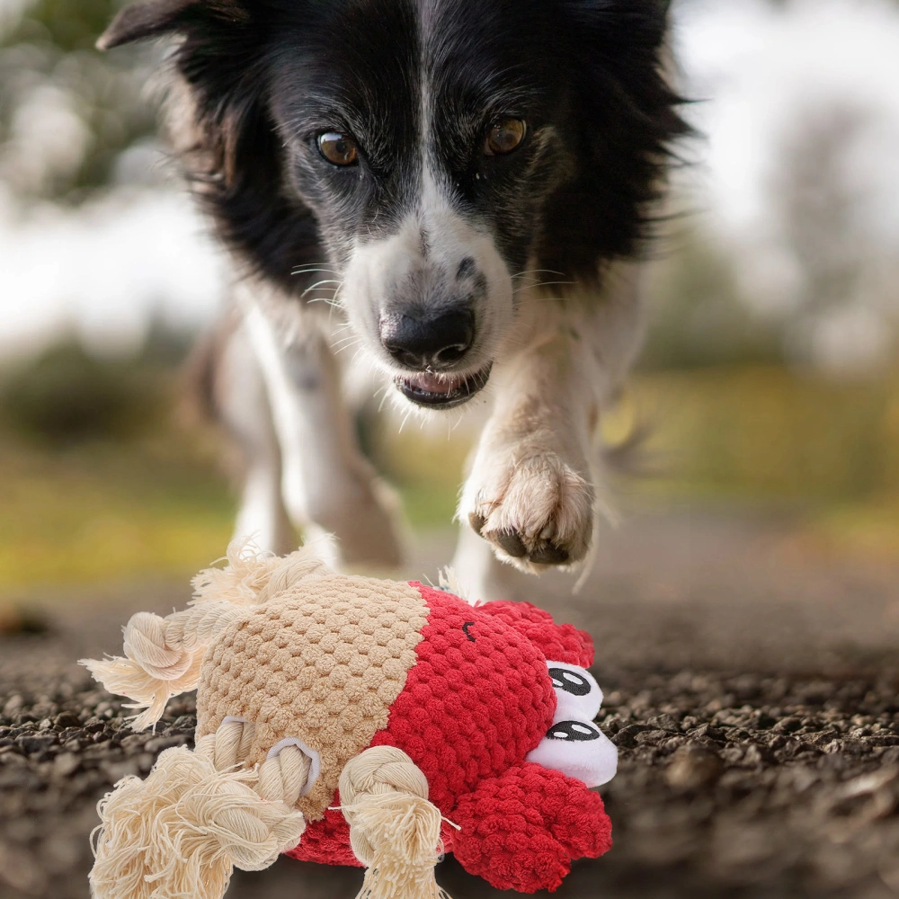 Crab-shape Dog Chewing Toy Dog Interactive Toy Squeaky Dog Teeth Cleaning Toy