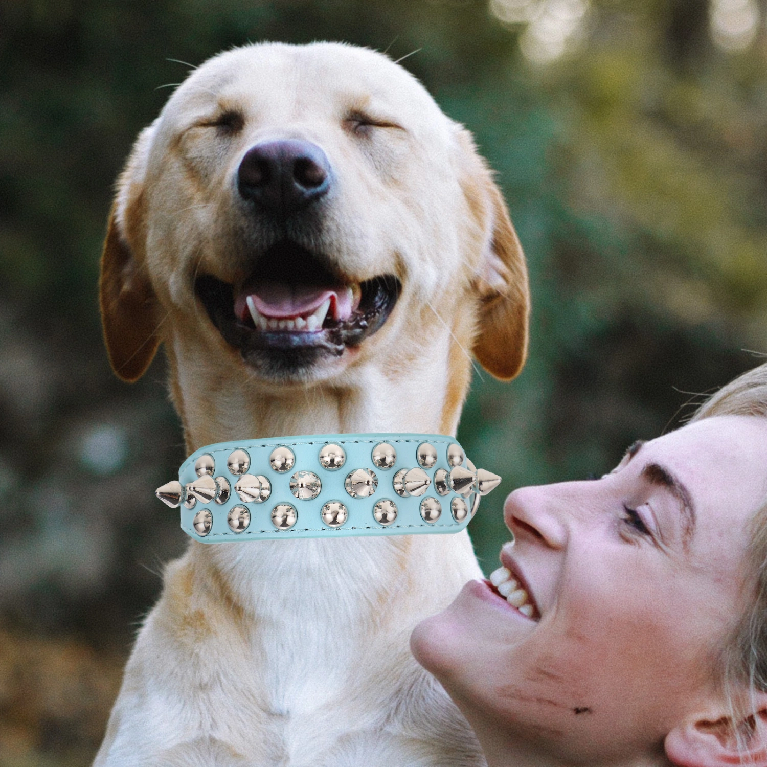 Spiked Collar for Dog Studded Rivet Collar Unique Puppy Collar Pet Cosplay Collar for Decor