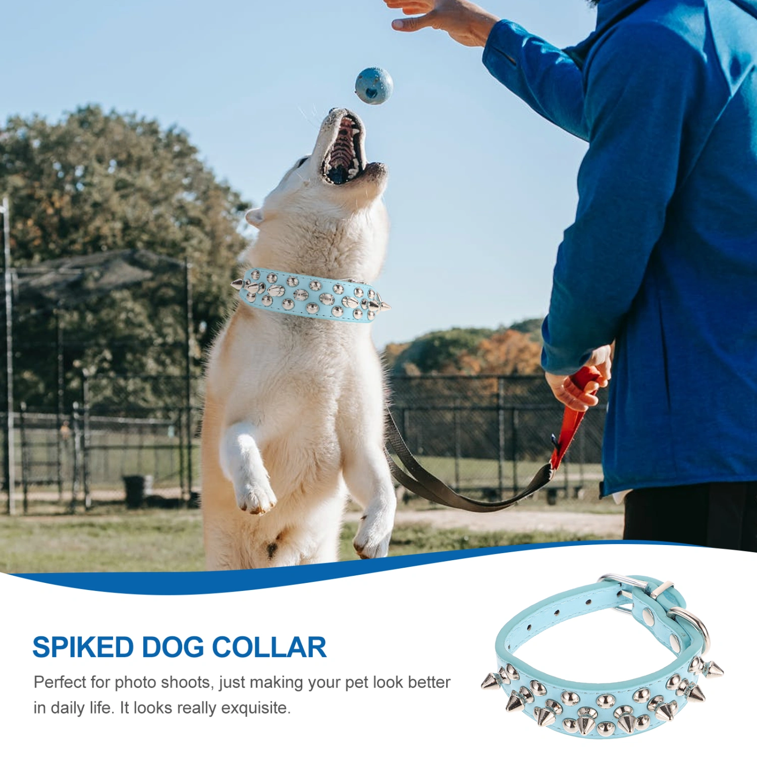Spiked Collar for Dog Studded Rivet Collar Unique Puppy Collar Pet Cosplay Collar for Decor